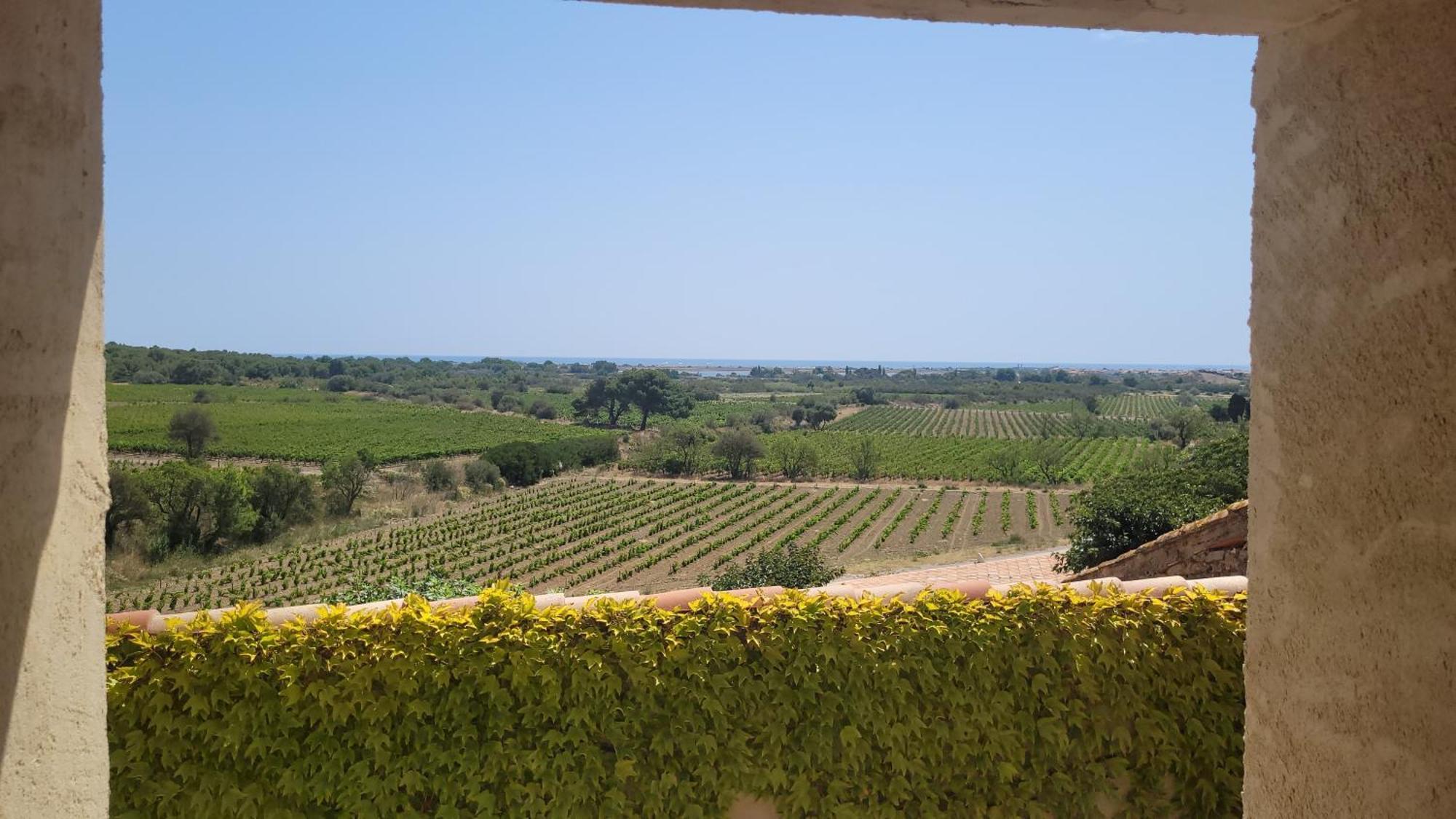 Chateau Le Bouis Gruissan Ngoại thất bức ảnh