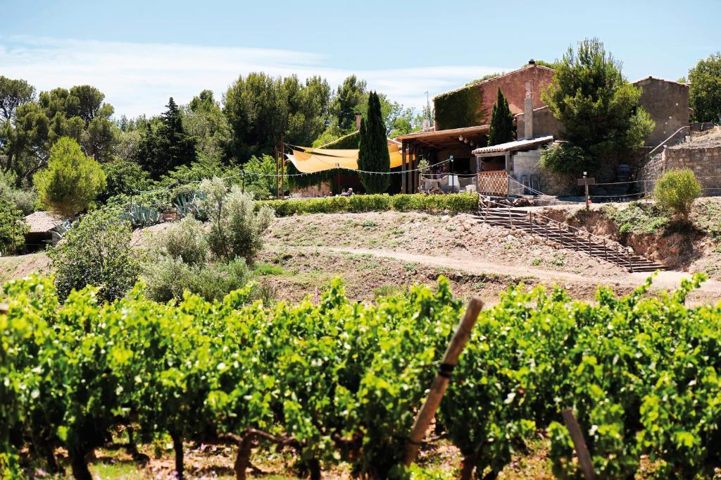 Chateau Le Bouis Gruissan Ngoại thất bức ảnh