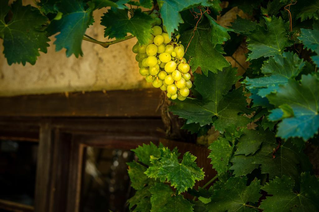 Chateau Le Bouis Gruissan Ngoại thất bức ảnh