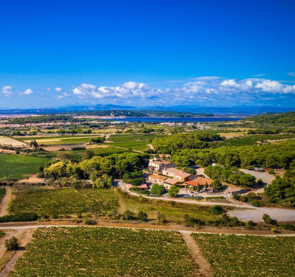 Chateau Le Bouis Gruissan Ngoại thất bức ảnh